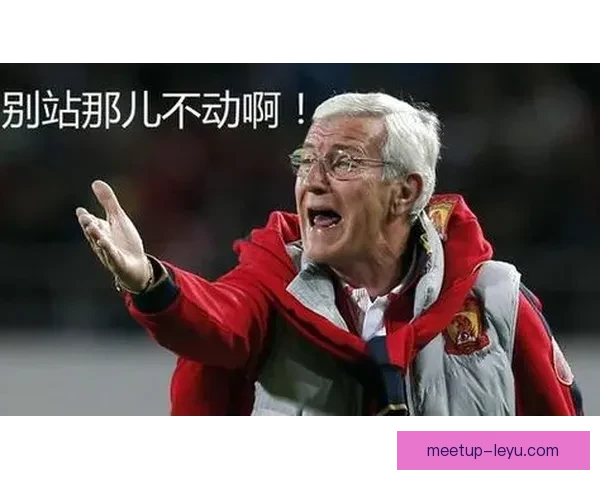 巴西世界杯回顾：足球盛宴中的经典瞬间与历史遗憾